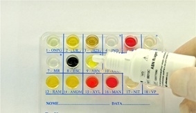 ENTEROSYSTEM 18 R