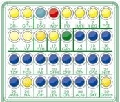 Sensi Test gram-positive 4 teste
