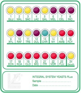 INTEGRAL SYSTEM YEASTS PLUS