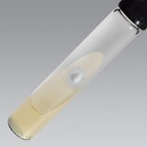 Sabouraud Dextroza Agar